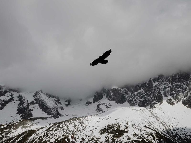 印象派日出<br>bcxjjkz.cn 莫奈睡莲池